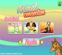 animal connection