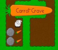 carrot crave